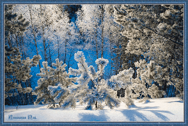 Зимние открытки, Зима