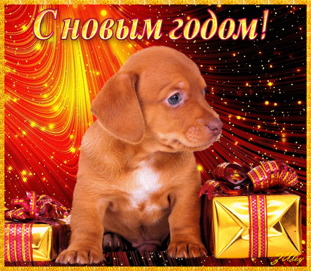 Год собаки - с Новым Годом 2024, gif, открытки