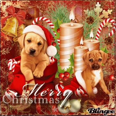 Прикольная открытка с Новым Годом Собаки - с Новым Годом, gif, открытки