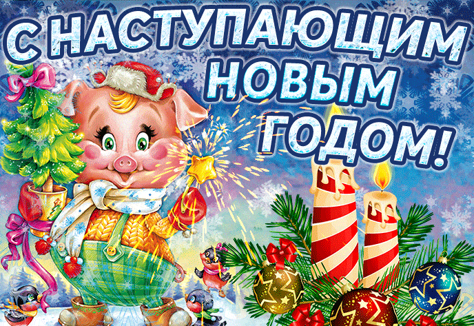С наступающим новым 2019 годом свиньи - с Новым Годом, gif, открытки