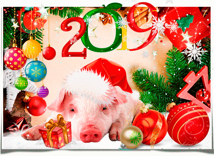 С новым годом свиньи - с Новым Годом, gif, открытки