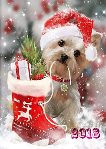 Новогодняя собачка с подарком - с Новым Годом 2024, gif, открытки