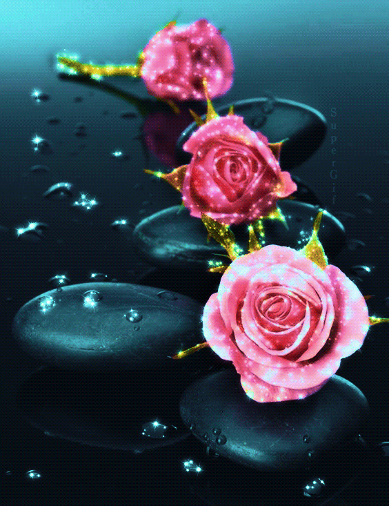 Розы и камни - цветы, gif, открытки