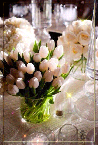 Букет из белых тюльпанов - цветы, gif, открытки