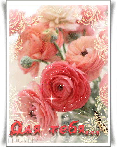Живые розы - Для Тебя! - цветы, gif, открытки