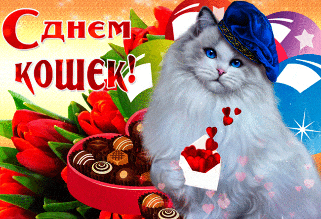 Всемирный день кошек - к праздникам, gif, открытки