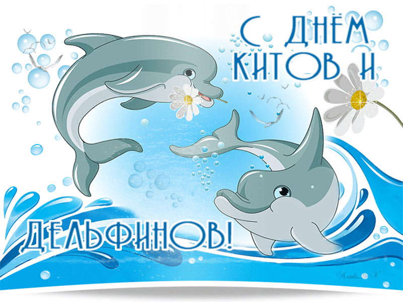 Всемирный день китов и дельфинов - к праздникам, gif, открытки