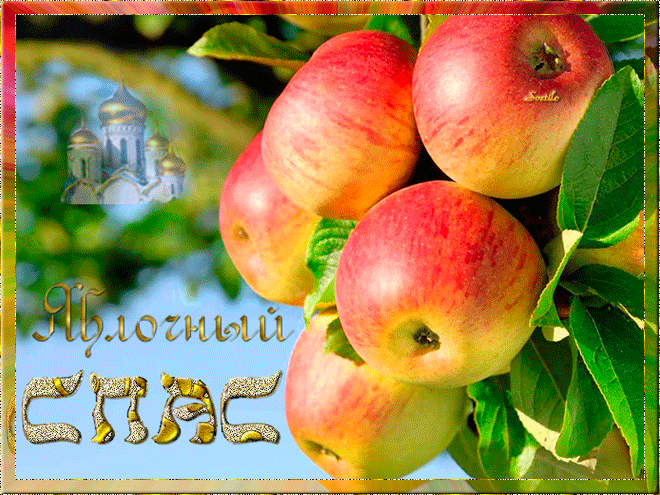 Яблочный спас - с Яблочным Спасом, gif, открытки