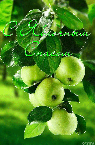 Яблочный Спас картинка - с Яблочным Спасом, gif, открытки