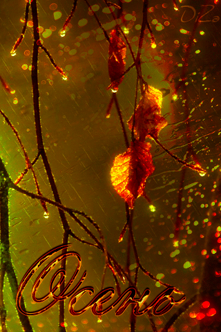 Золотая осень - Дождь - осень, gif, открытки