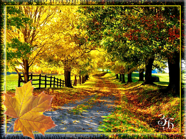 Осень картинки красивые - осень, gif, открытки
