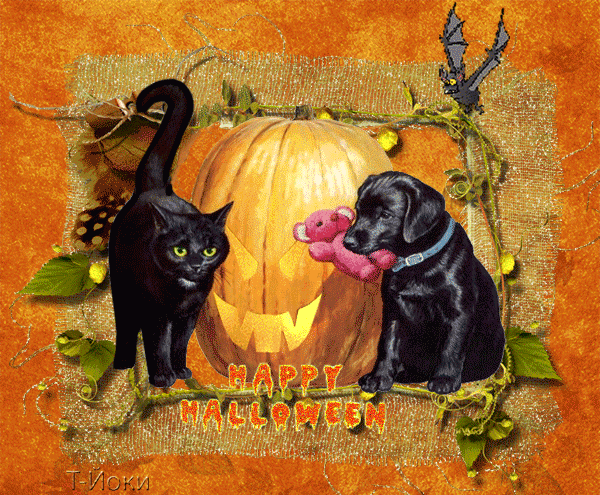 Кот, пес и летучая мышь - с хэллоуином, gif, открытки