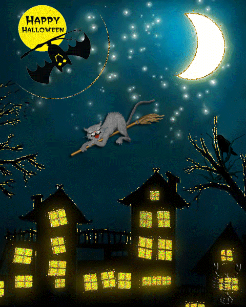 Кот и летучая мышь - с хэллоуином, gif, открытки