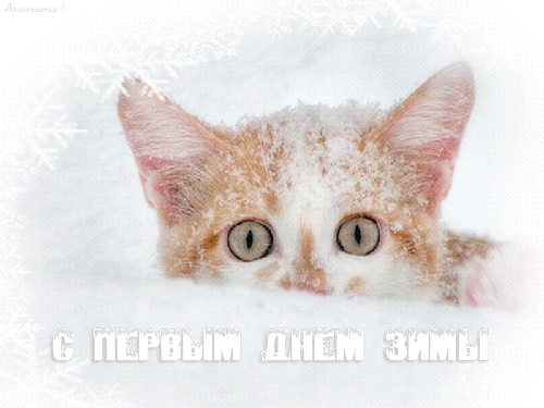 Поздравления с Первым днем зимы открытка