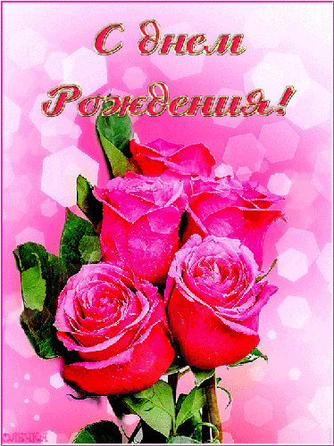 Поздравительный букет роз на День Рождения!