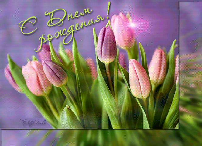Картинка с днём Рождения букет тюльпанов - День Рождения, gif, открытки