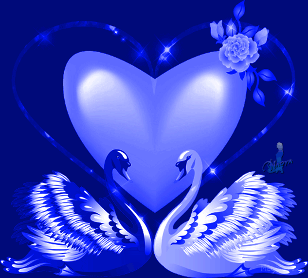 Валентинка с лебедями - с днем Святого Валентина, gif, открытки