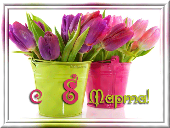 Открытка с тюльпанами 8 МАРТА - с 8 марта, gif, открытки