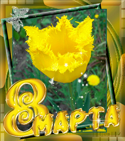 Картинка на 8 Марта с тюльпаном - с 8 марта, gif, открытки