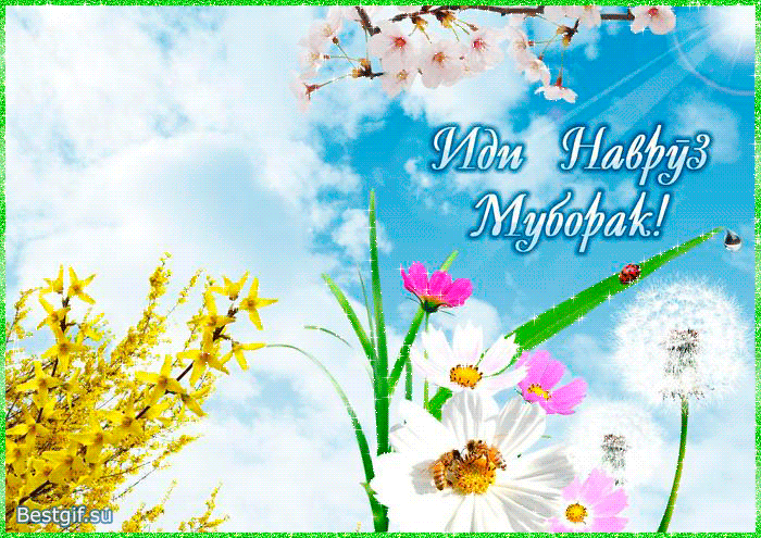 Поздравительная открытка Навруз муборак - Навруз (Наурыз мейрамы), gif, открытки