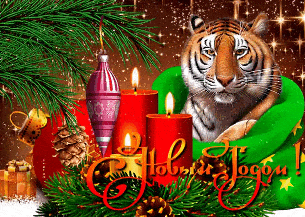С Новым годом Тигра - с Новым годом Тигра, gif, открытки